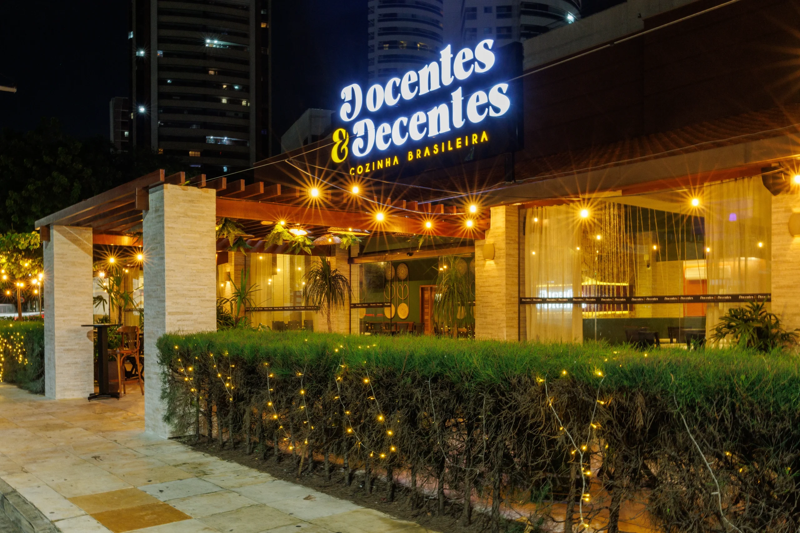 Docentes e Decentes (27)